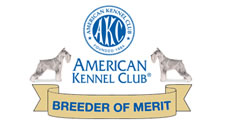 click here for info on AKC Breeder of Merit