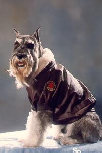 {I am so stunning in my leather jacket.}