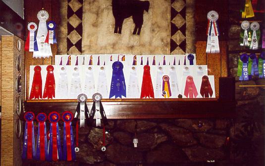 {Best of Breed and Group Placement ribbons}