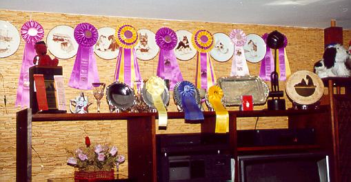 {Trophies and Ribbons - many earned in Canada}