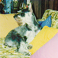 {Did someone say cookie}