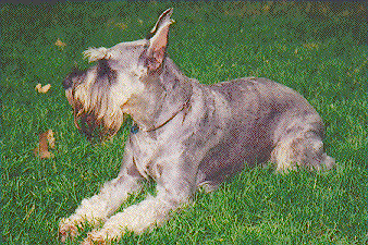 {Could I replace the Mona Lisa?}