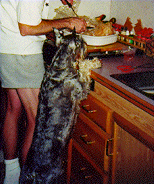 {A little more white meat, and dressing too.}