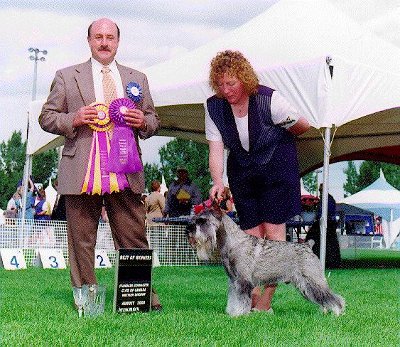 Alberta best of winners