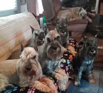 on couch in the morothome