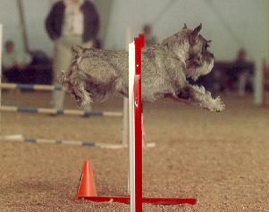 A different jump view