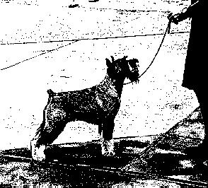 {I will take the group placement, please!!!}