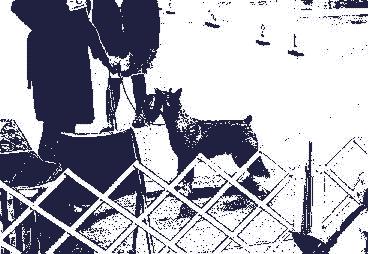 {I will take the group placement too, please!!!}