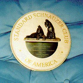 {Amazing, simply amazing}