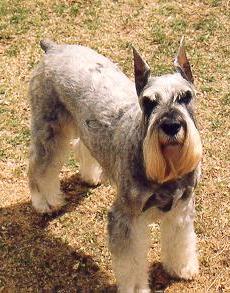 {Am I cute or what?}