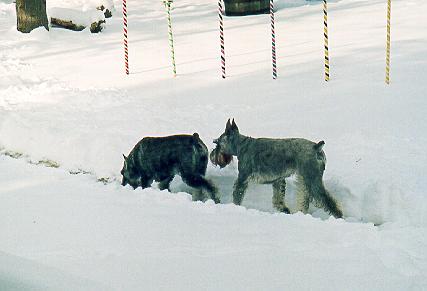 {Major snow storm in March 2002}
